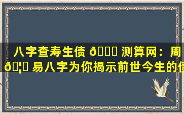 八字查寿生债 🐋 测算网：周 🦅 易八字为你揭示前世今生的债务